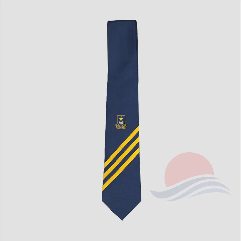 HGSS Ties