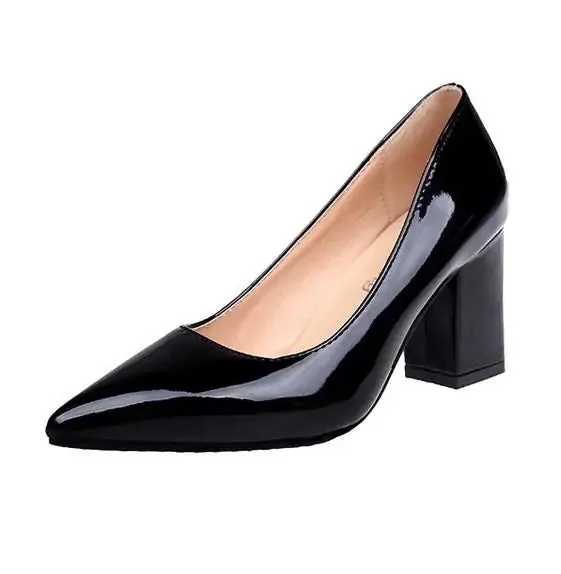 Women's Sexy Mid Heel Pointed Toe Shoes