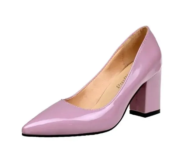 Women's Sexy Mid Heel Pointed Toe Shoes